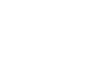 WINGBOOSTER Logo